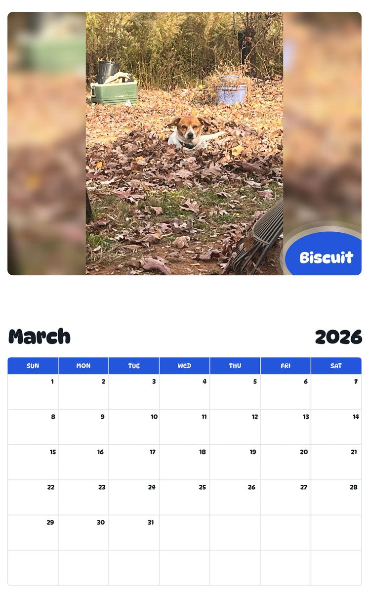 November 2025 - October 2026 Biscuit - Pawidols Pet Calendar