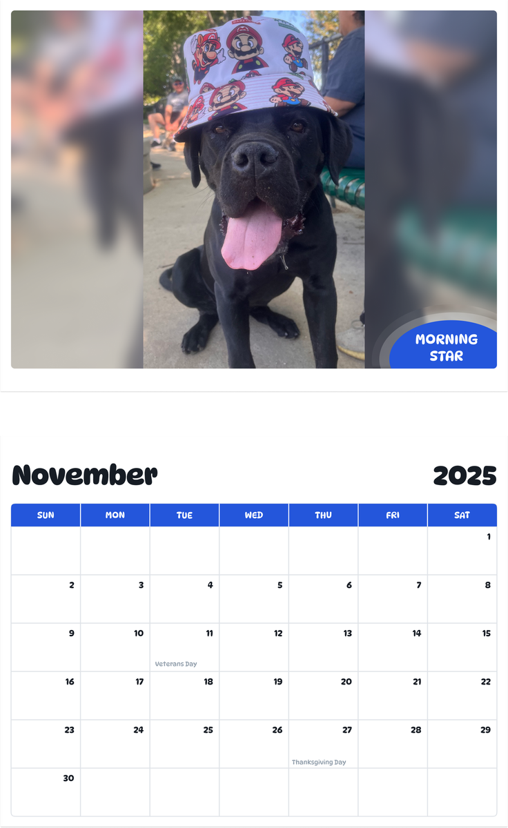 July 2025 - June 2026 morningstar - Pawidols Pet Calendar