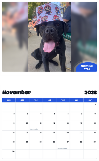 July 2025 - June 2026 morningstar - Pawidols Pet Calendar