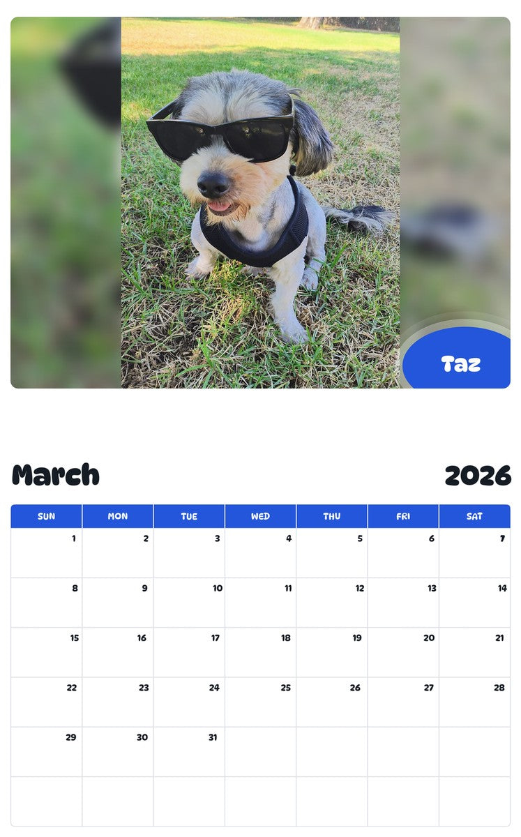 November 2025 - October 2026 Taz - Pawidols Pet Calendar