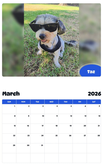 November 2025 - October 2026 Taz - Pawidols Pet Calendar