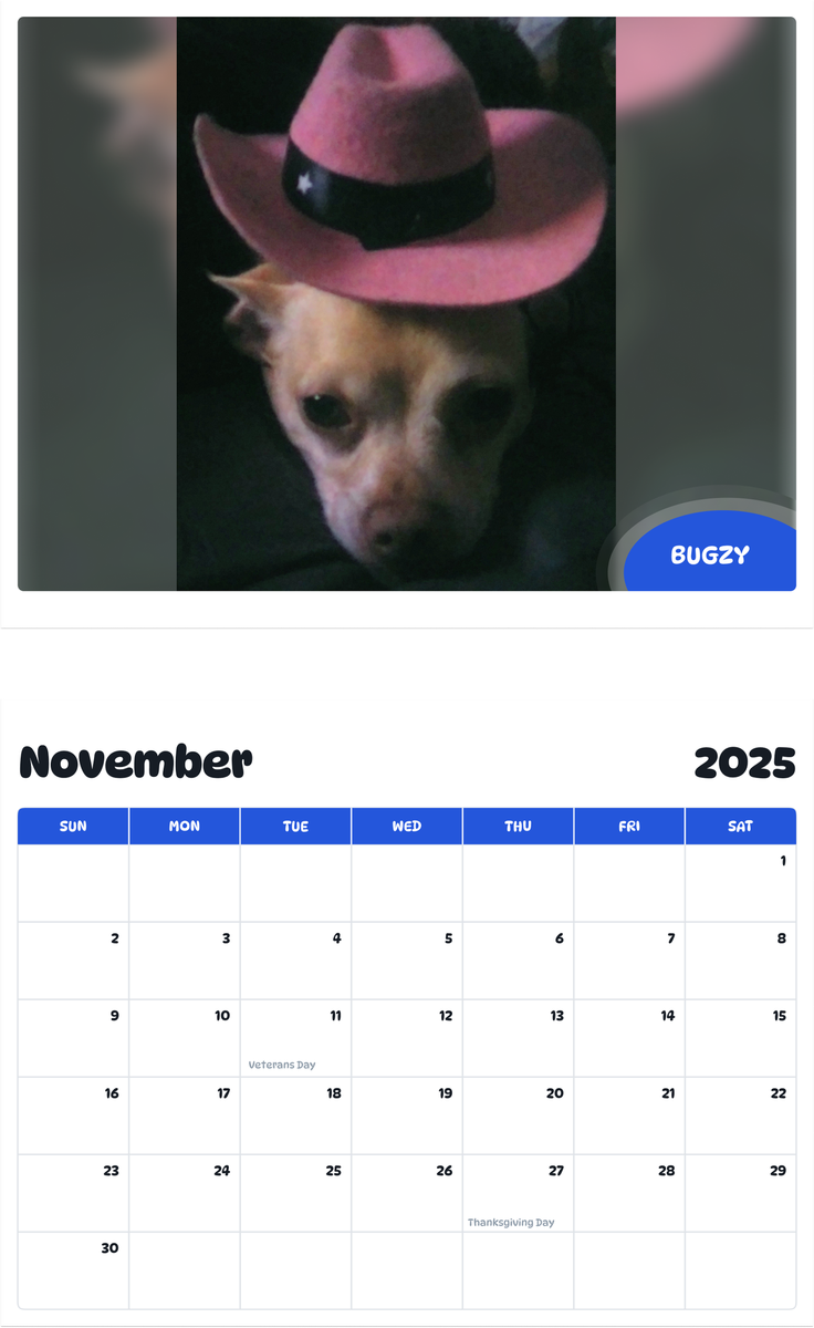 July 2025 - June 2026 Bugzy - Pawidols Pet Calendar