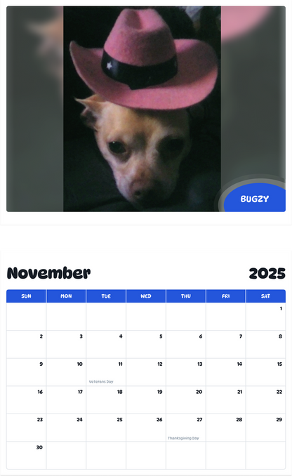 July 2025 - June 2026 Bugzy - Pawidols Pet Calendar
