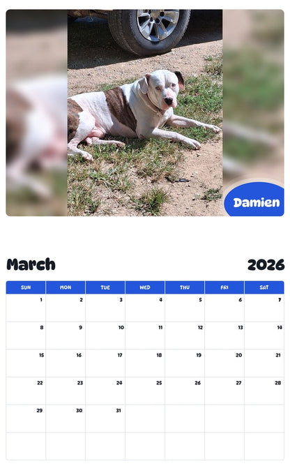 November 2025 - October 2026 Damien - Pawidols Pet Calendar
