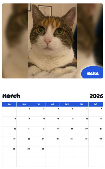 November 2025 - October 2026 Belle - Pawidols Pet Calendar