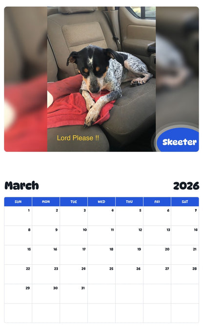 November 2025 - October 2026 Skeeter - Pawidols Pet Calendar