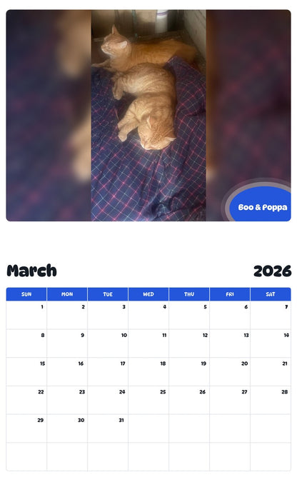 November 2025 - October 2026 Boo & Poppa - Pawidols Pet Calendar