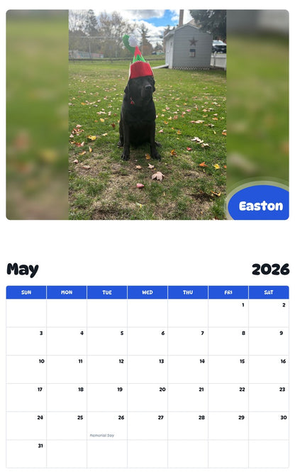 2026 - 2027 Easton - Pawidols Pet Calendar