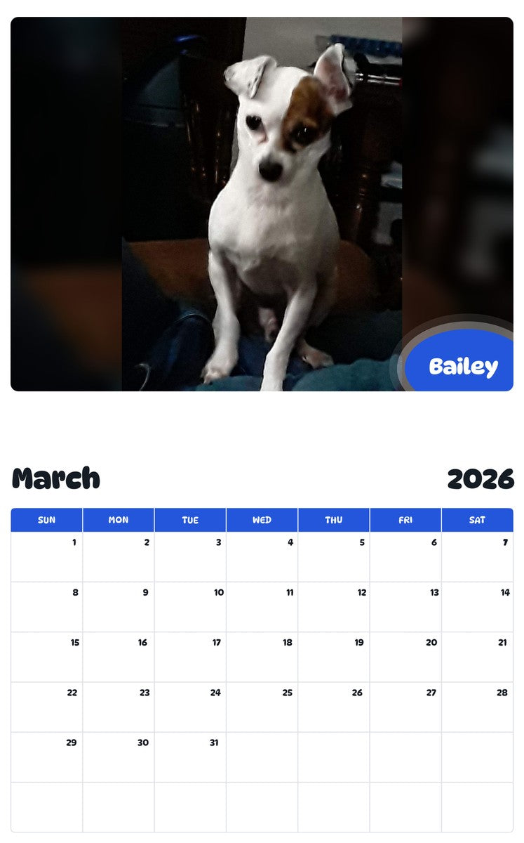 November 2025 - October 2026 Bailey - Pawidols Pet Calendar