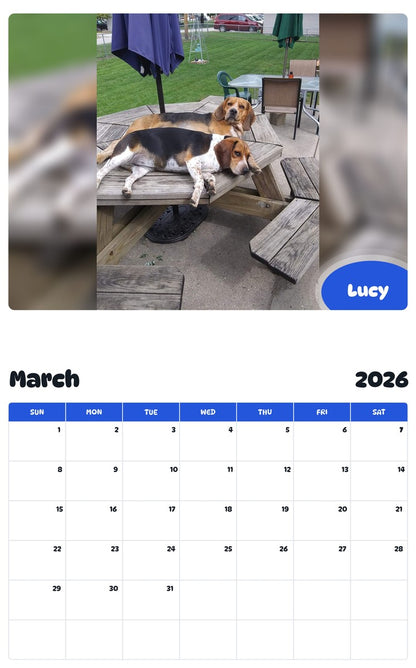 November 2025 - October 2026 Lucy - Pawidols Pet Calendar