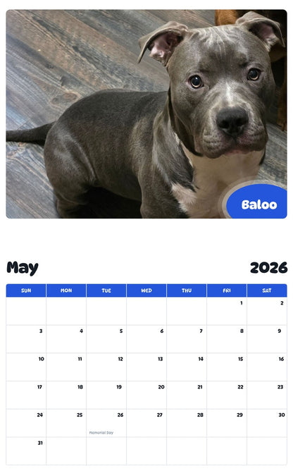 2026 - 2027 Baloo - Pawidols Pet Calendar