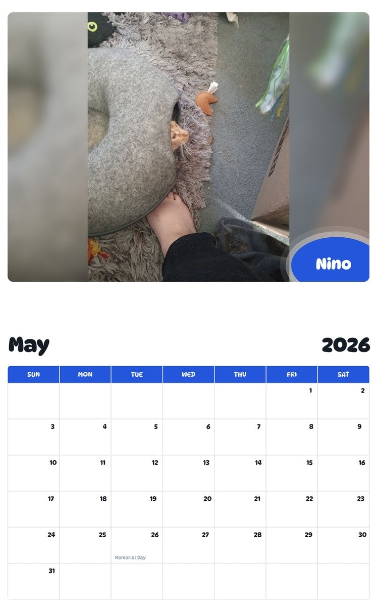 2026 - 2027 Nino - Pawidols Pet Calendar