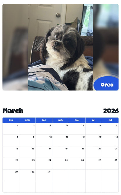 November 2025 - October 2026 Oreo - Pawidols Pet Calendar