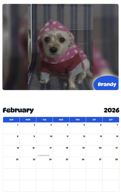 October 2025 - September 2026 Brandy - Pawidols Pet Calendar