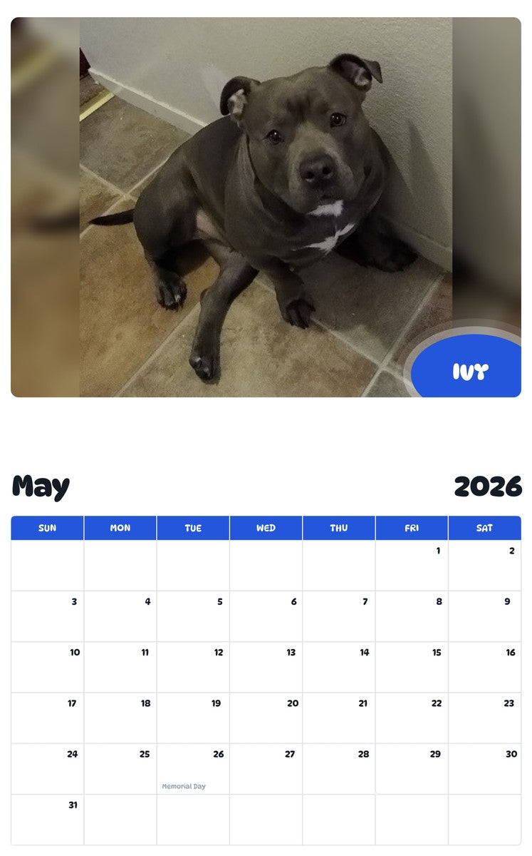 2026 - 2027 IVY - Pawidols Pet Calendar