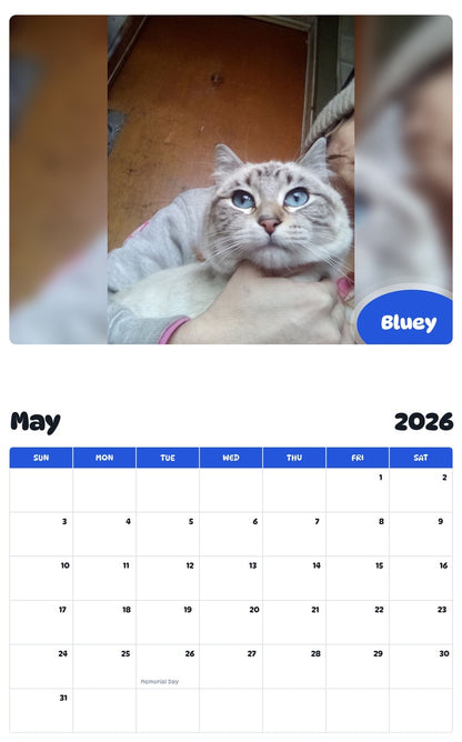 2026 - 2027 Bluey - Pawidols Pet Calendar