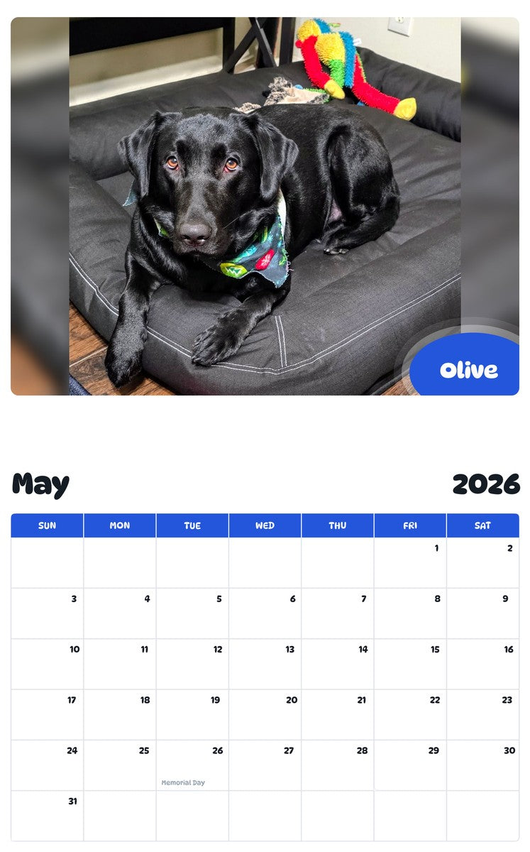 2026 - 2027 Olive - Pawidols Pet Calendar