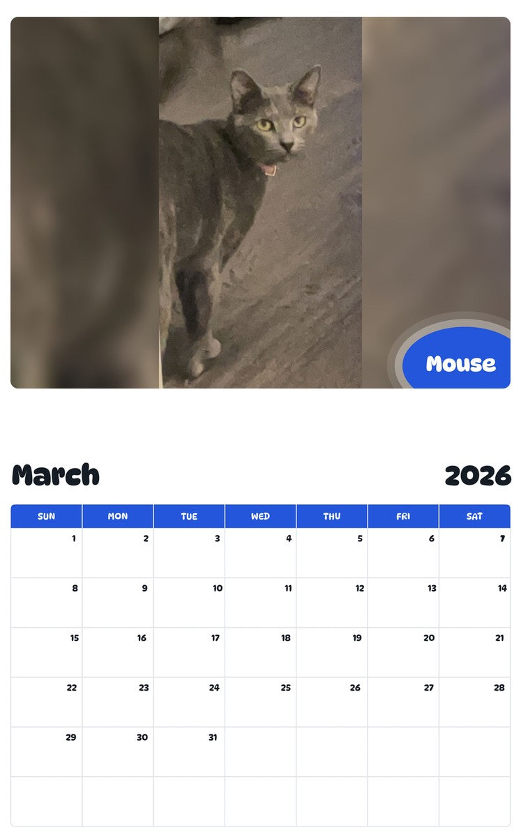 November 2025 - October 2026 Mouse - Pawidols Pet Calendar