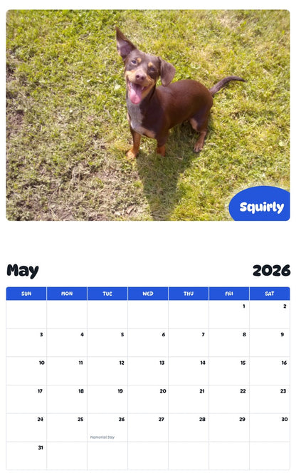 2026 - 2027 Squirly - Pawidols Pet Calendar