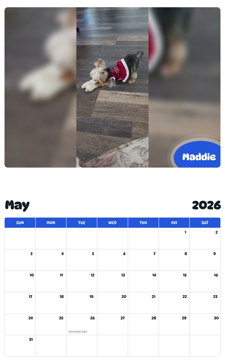 2026 - 2027 Maddie - Pawidols Pet Calendar
