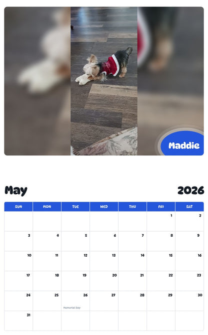 2026 - 2027 Maddie - Pawidols Pet Calendar