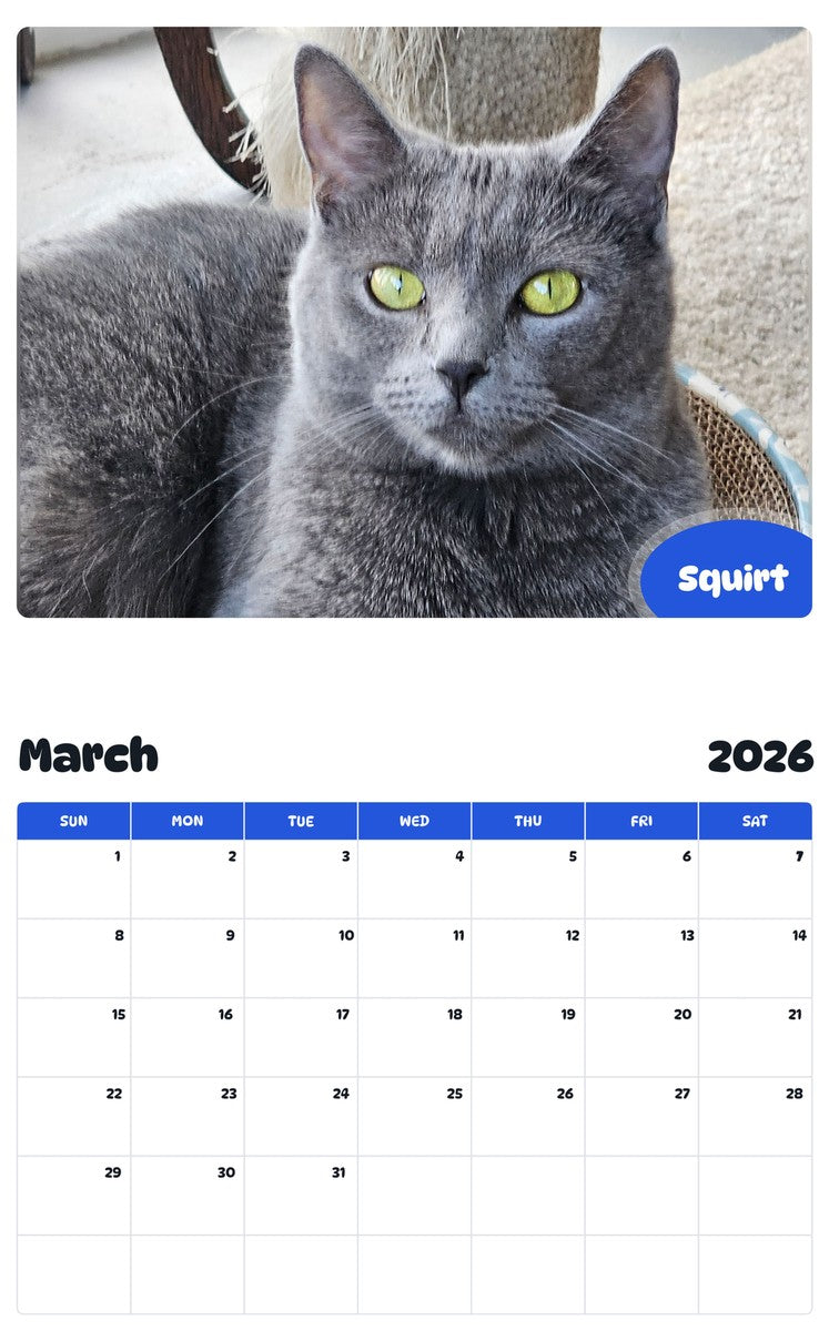 November 2025 - October 2026 Squirt - Pawidols Pet Calendar