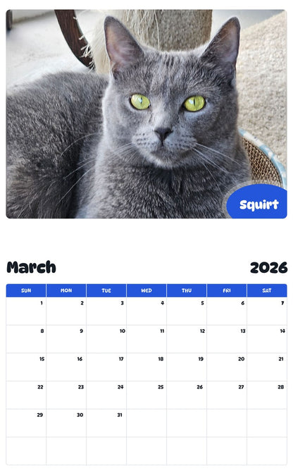 November 2025 - October 2026 Squirt - Pawidols Pet Calendar