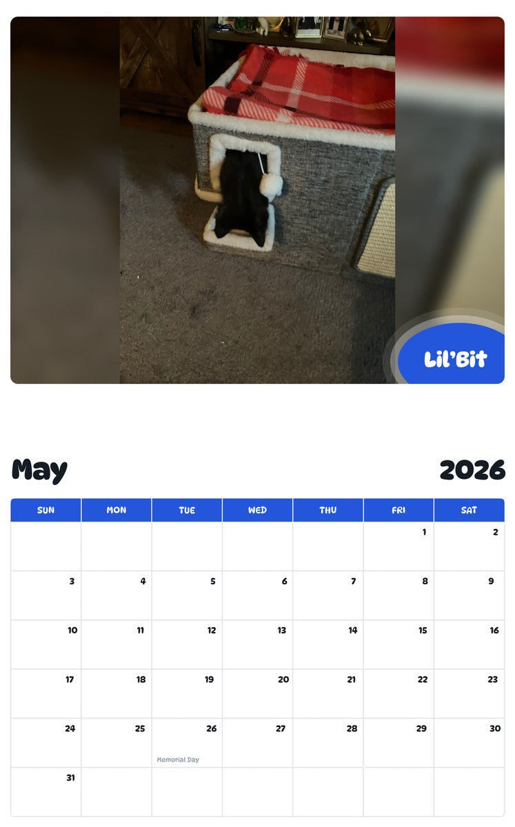 2026 - 2027 Lil’Bit - Pawidols Pet Calendar