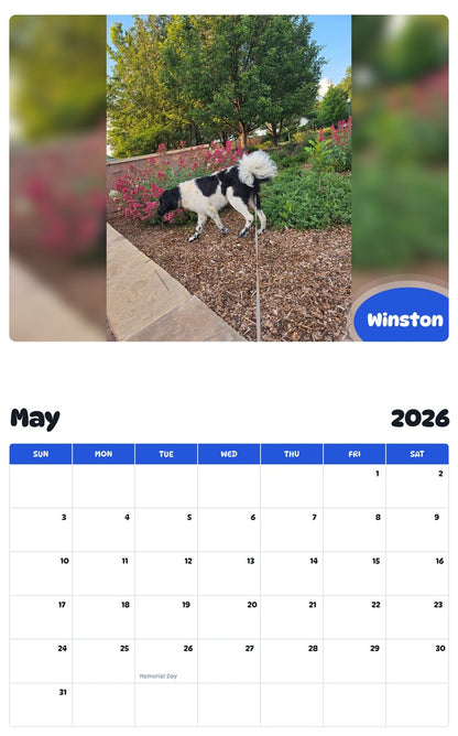 2026 - 2027 Winston - Pawidols Pet Calendar