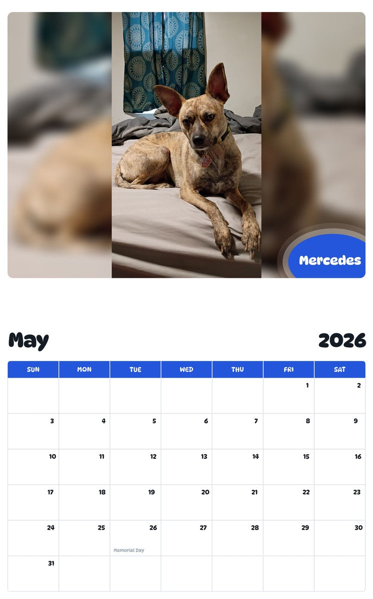 2026 - 2027 Mercedes - Pawidols Pet Calendar