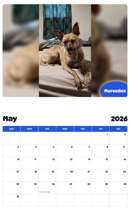 2026 - 2027 Mercedes - Pawidols Pet Calendar