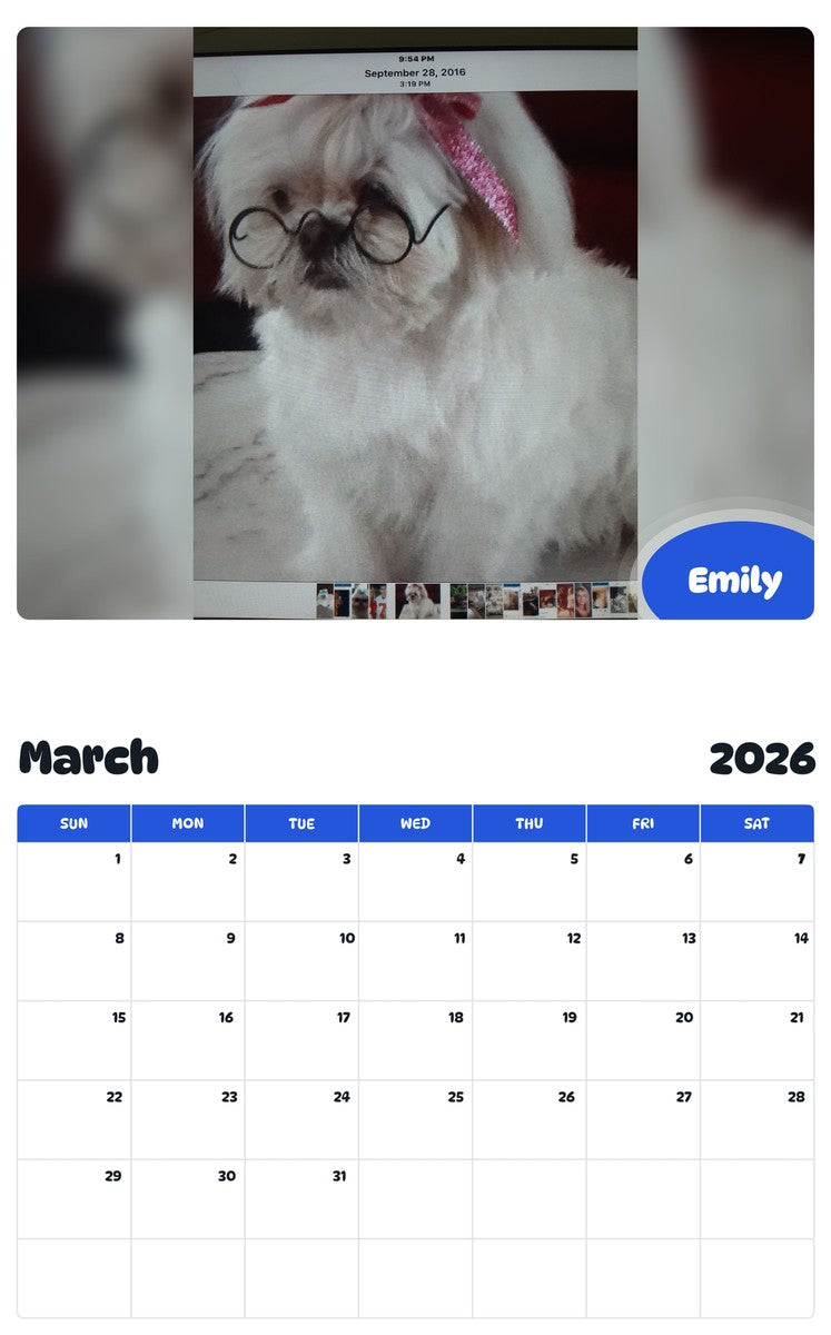 November 2025 - October 2026 Emily - Pawidols Pet Calendar