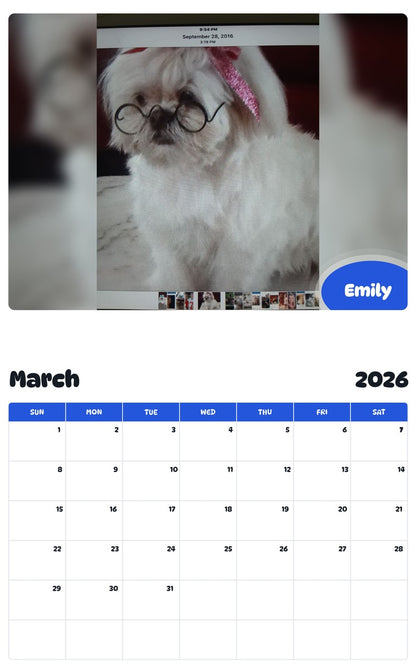 November 2025 - October 2026 Emily - Pawidols Pet Calendar