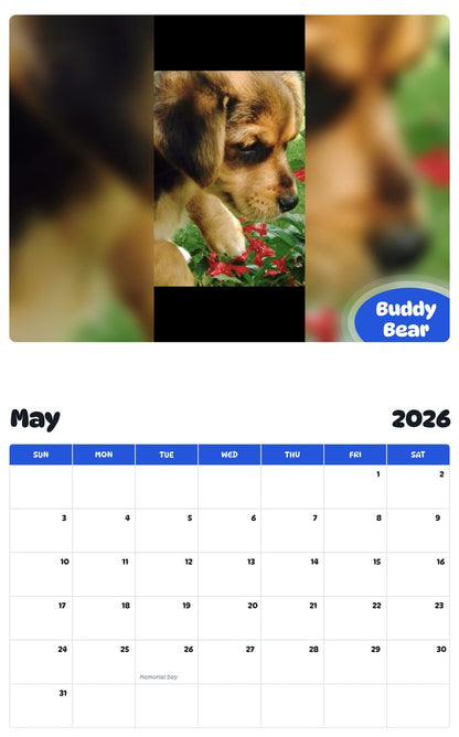 2026 - 2027 Buddy Bear - Pawidols Pet Calendar