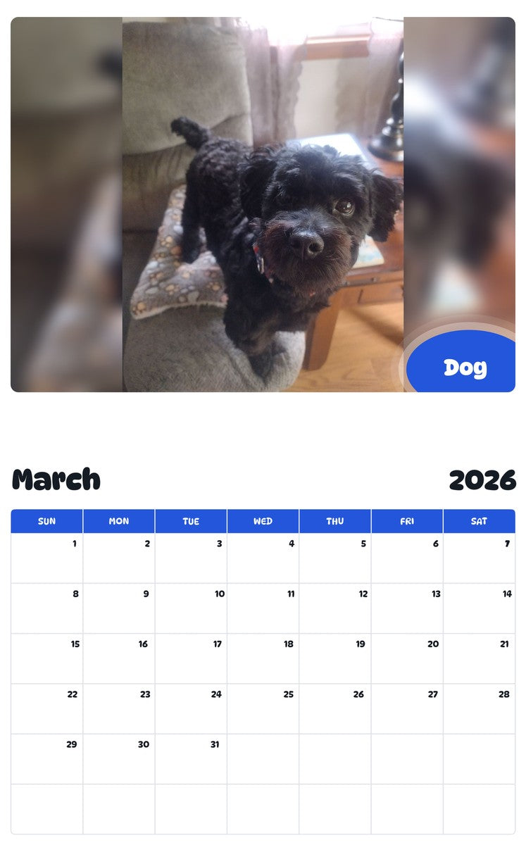 November 2025 - October 2026 Dog - Pawidols Pet Calendar