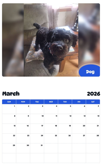 November 2025 - October 2026 Dog - Pawidols Pet Calendar