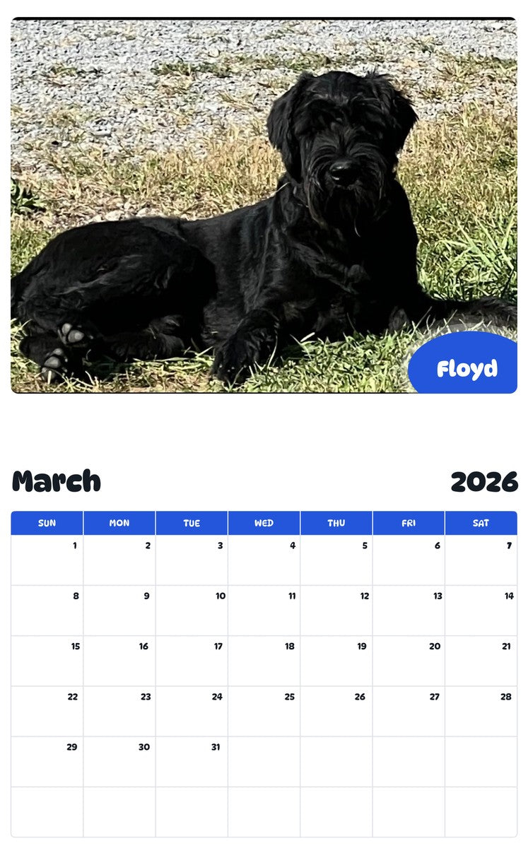 November 2025 - October 2026 Floyd - Pawidols Pet Calendar
