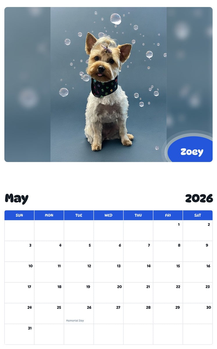 2026 - 2027 Zoey - Pawidols Pet Calendar
