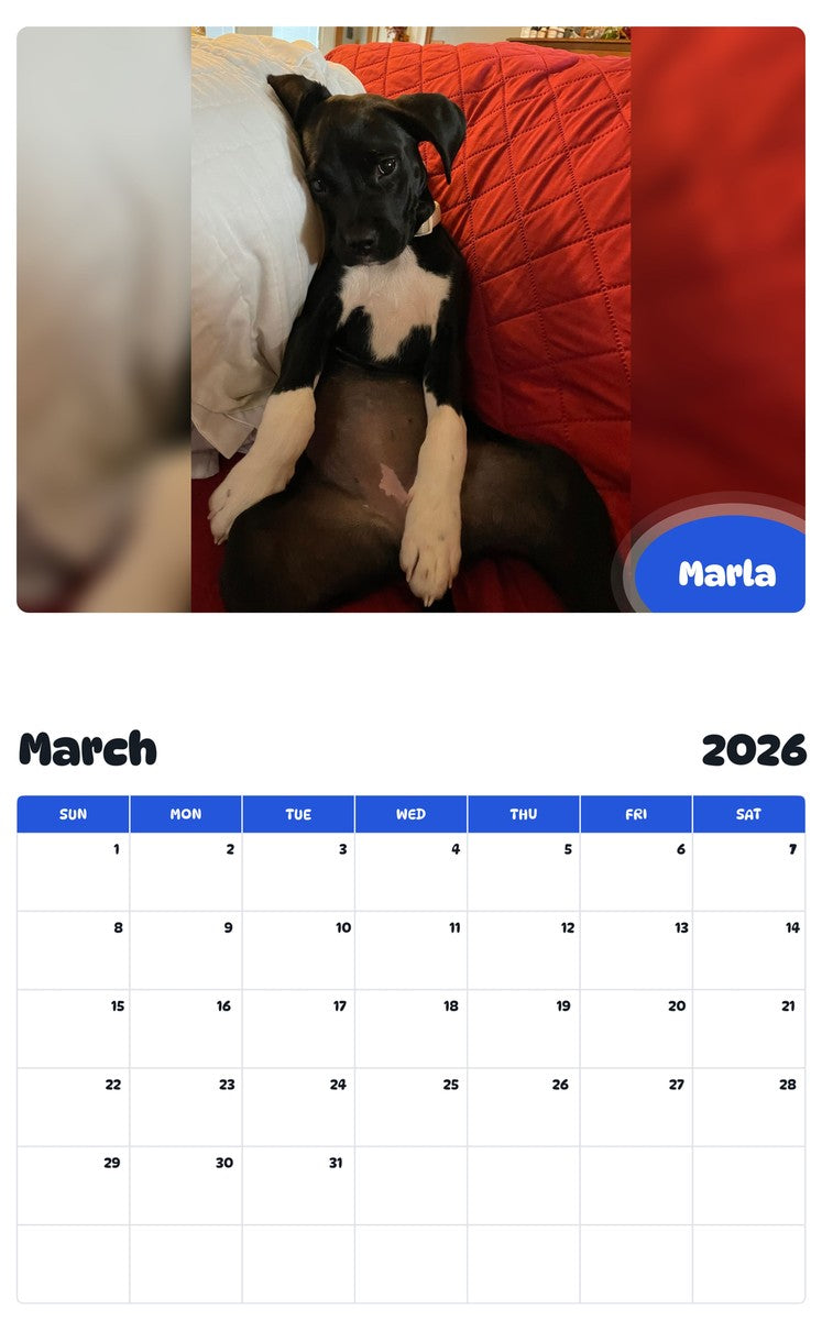 November 2025 - October 2026 Marla - Pawidols Pet Calendar