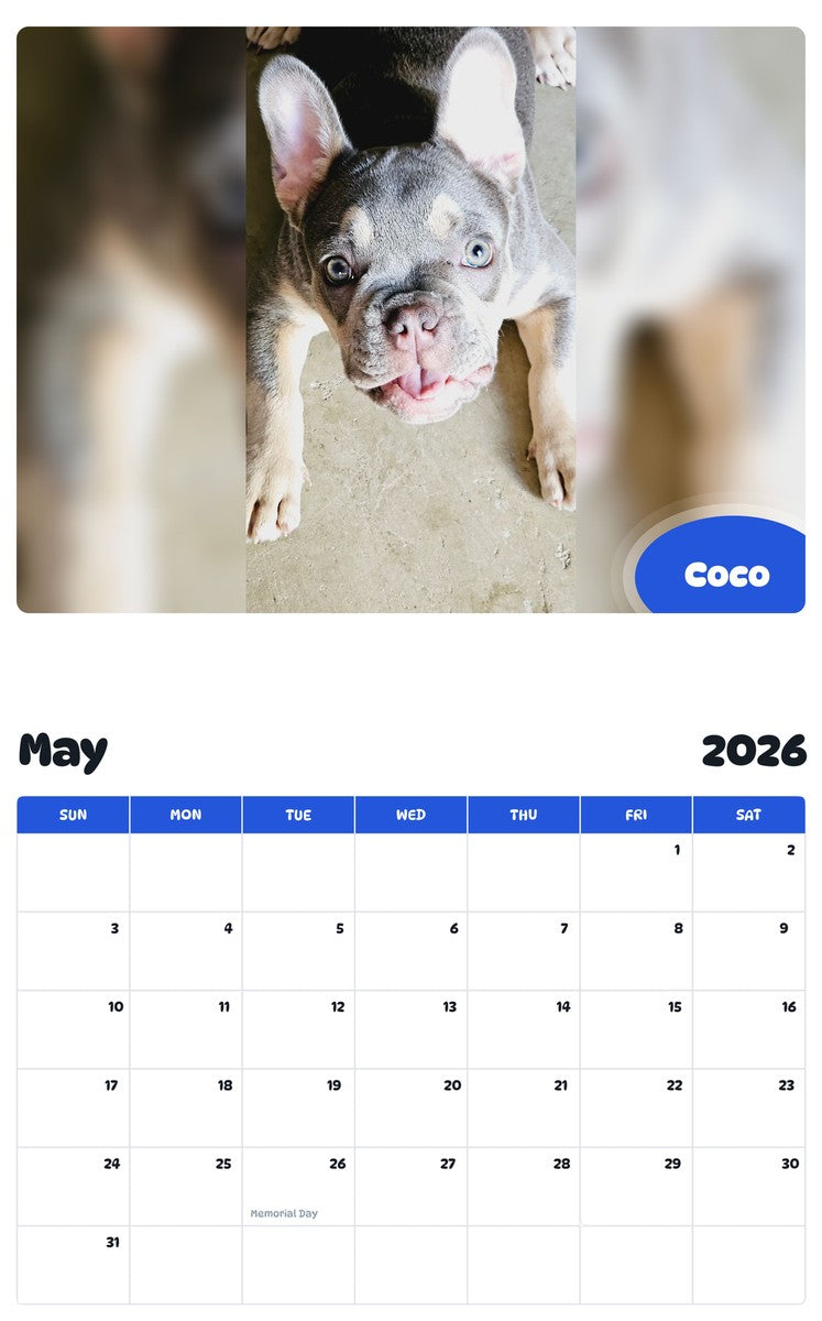 2026 - 2027 Coco - Pawidols Pet Calendar