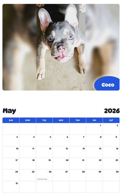 2026 - 2027 Coco - Pawidols Pet Calendar