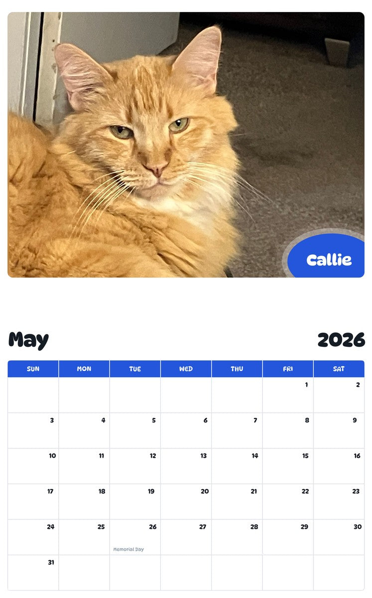 2026 - 2027 Callie - Pawidols Pet Calendar