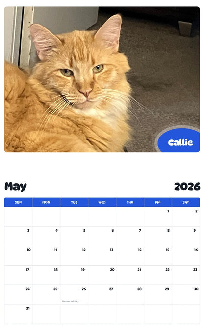 2026 - 2027 Callie - Pawidols Pet Calendar