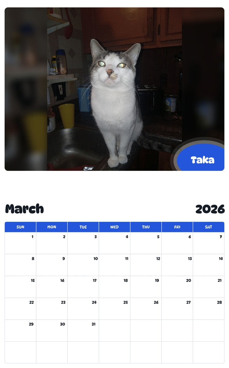 November 2025 - October 2026 Taka - Pawidols Pet Calendar