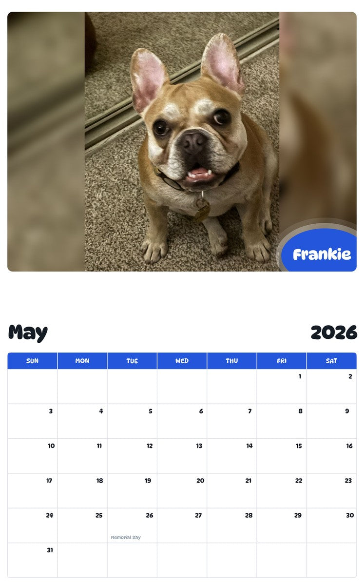 2026 - 2027 Frankie - Pawidols Pet Calendar