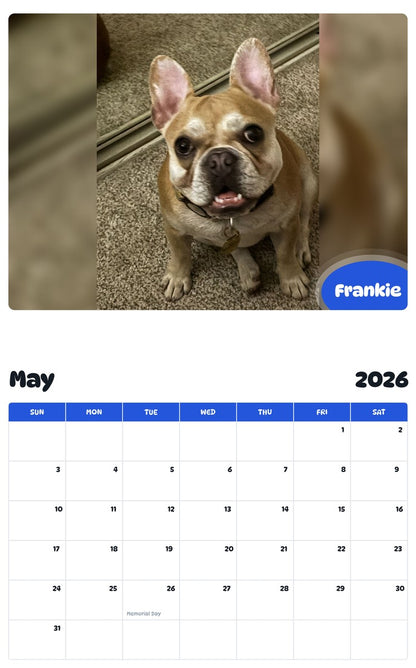 2026 - 2027 Frankie - Pawidols Pet Calendar