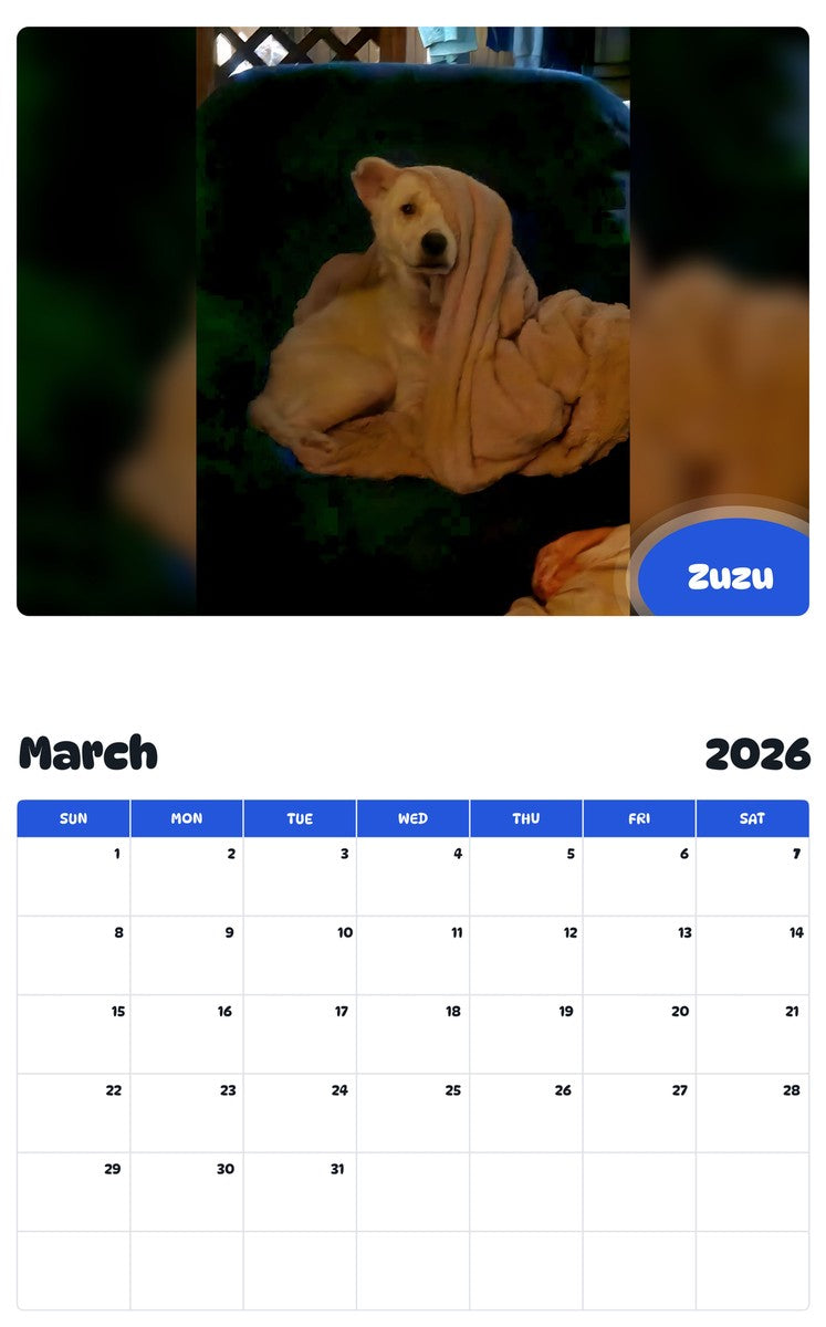 November 2025 - October 2026 Zuzu - Pawidols Pet Calendar