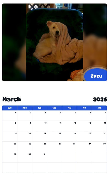 November 2025 - October 2026 Zuzu - Pawidols Pet Calendar