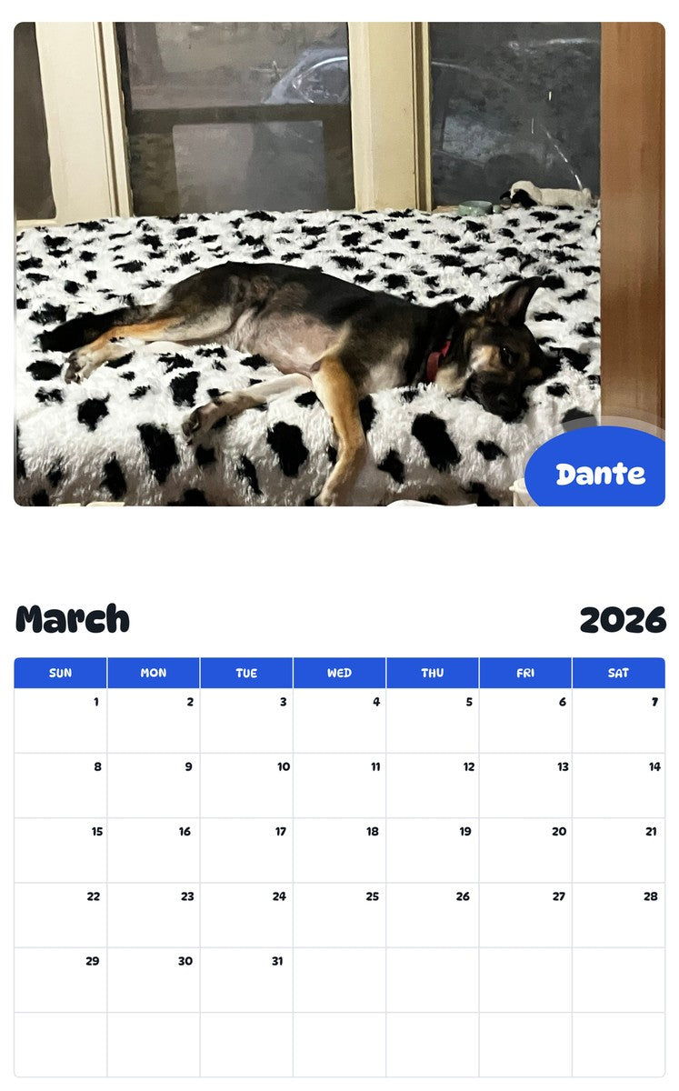 November 2025 - October 2026 Dante - Pawidols Pet Calendar