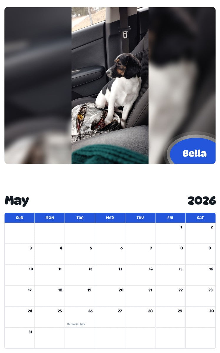 2026 - 2027 Bella - Pawidols Pet Calendar